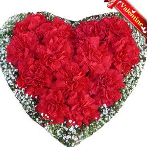 Valentine Carnation Heart Flower