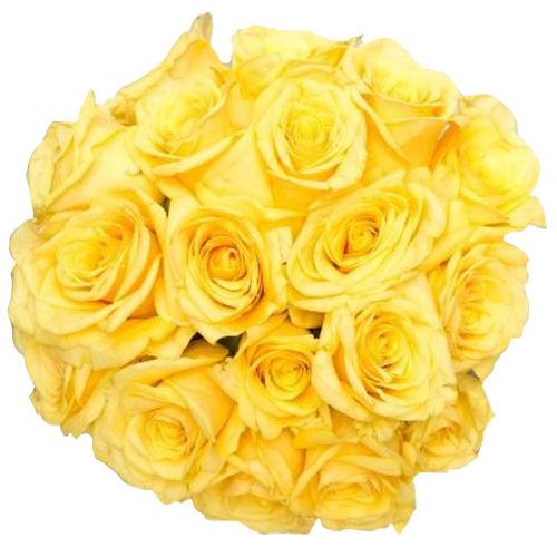 Caring Roses Flower - Deluxe