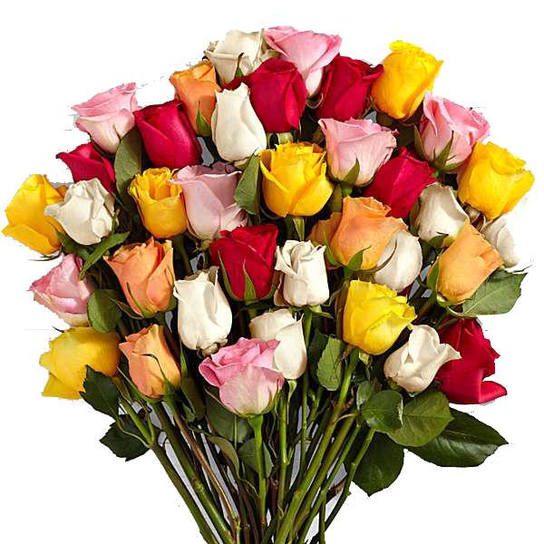 Assorted Roses Flower - Deluxe