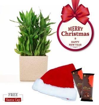 Nurturing Green Lucky Bamboo 3 layer Pant Christmas Combo with Free Santa Cap