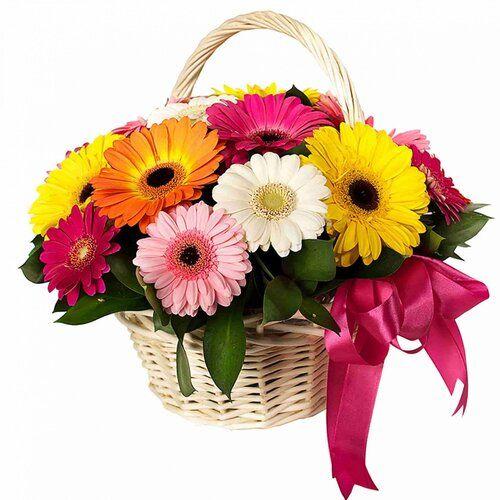 12 Gerberas Flower in a basket 