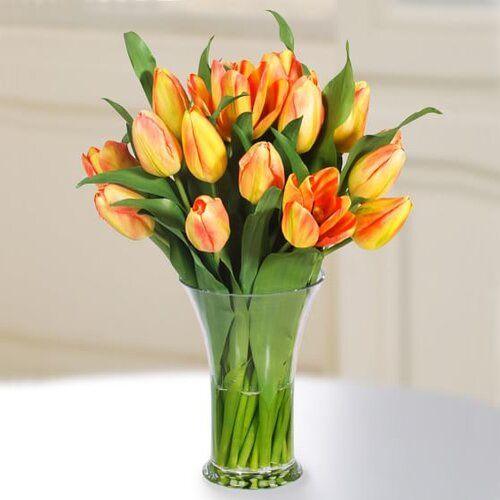 Royal Legacy Tulip Flower