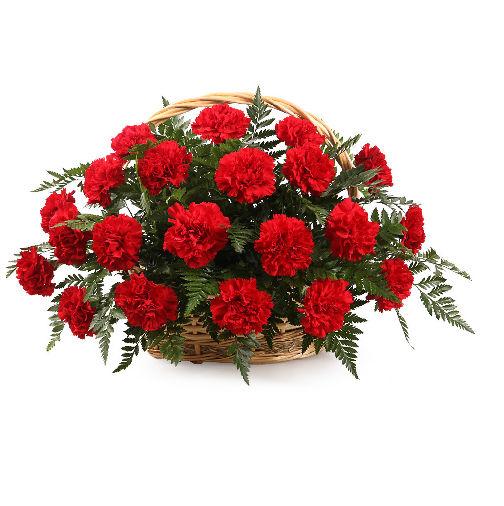 Designer Carnation Flower Basket