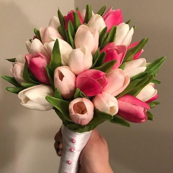 Pink Carnival Tulip Flower