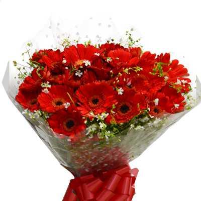 Red Gerbera Flower Bouquet - Deluxe