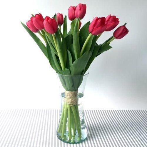 Perfect Love Tulip Flower