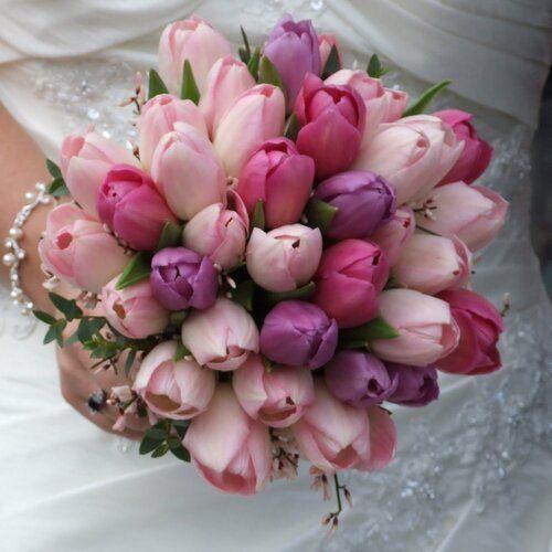 Everlasting Romance Tulip