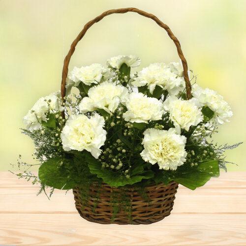 Minimalist White Carnations Flower