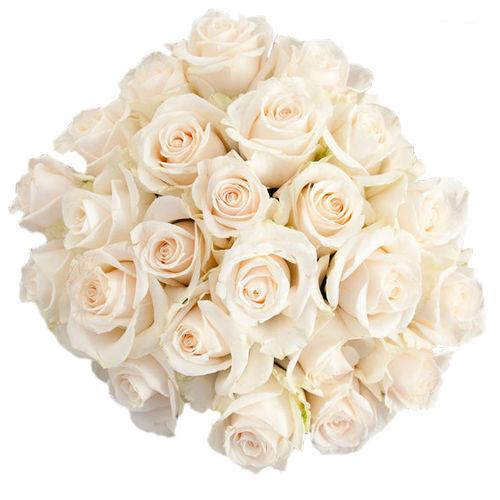 White Roses Bunch Flower - Deluxe