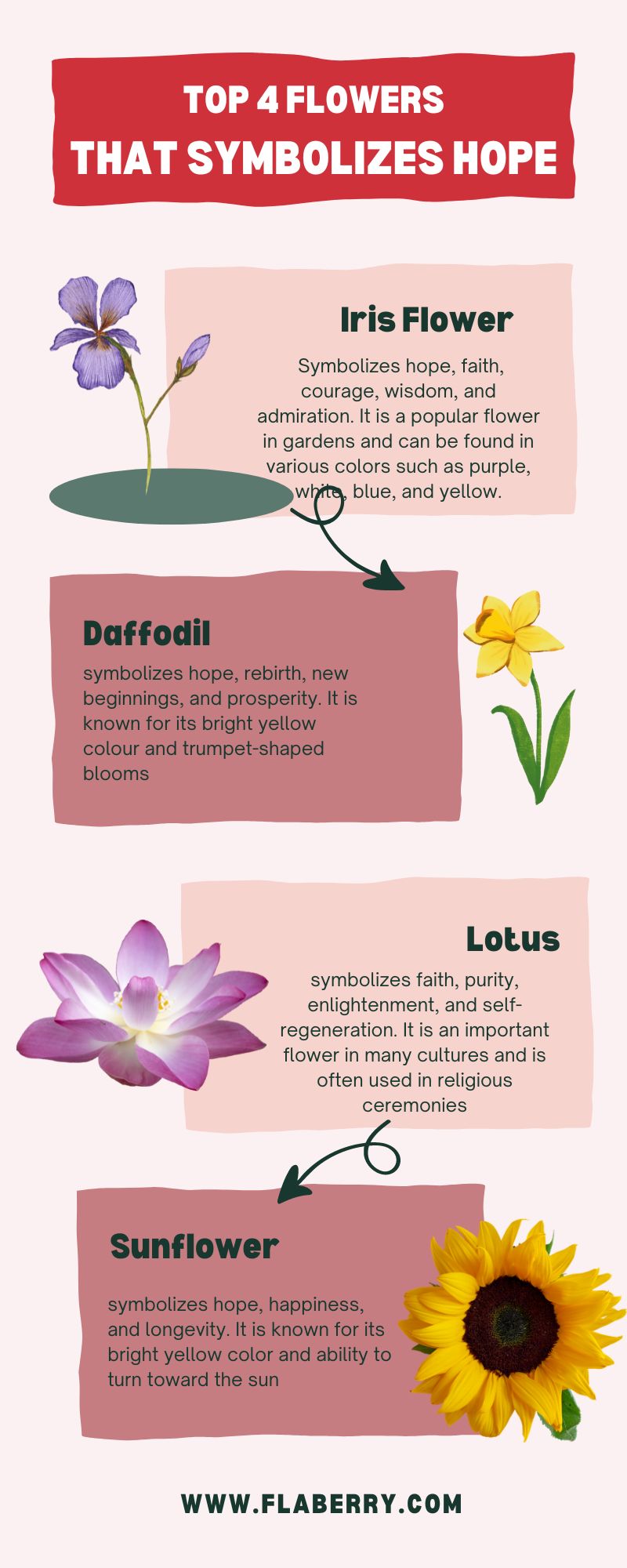 flowers that symbolizes hope infographic
